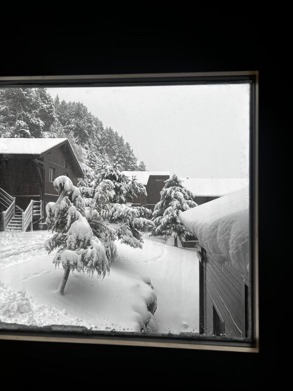 Exclusiva Cabana En Incles - Vistas Al Valle & Pistas De Ski Grandvalira - Free Parking Canillo Extérieur photo